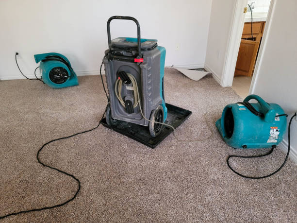 Trusted Weyauwega, WI Water damage restoration Experts