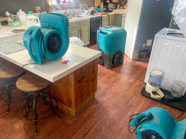Water damage restoration experts in Weyauwega, WI