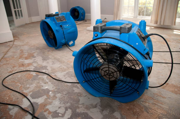 Best Water damage restoration insurance claims  in Weyauwega, WI