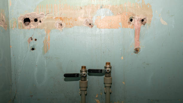 Water damage restoration mold remediation in Weyauwega, WI